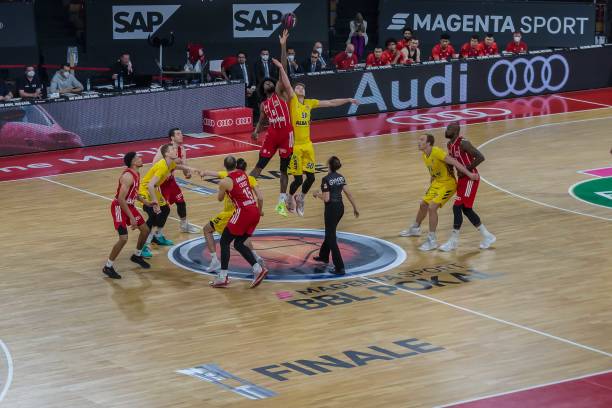 他们不仅在 他们不仅在